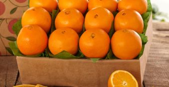Food for healthy eyes